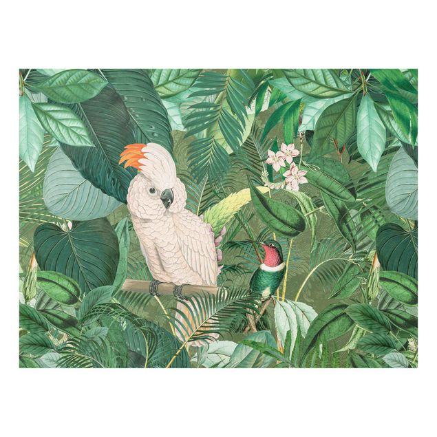 Cuadros tonos verdes Vintage Collage - Kakadu And Hummingbird