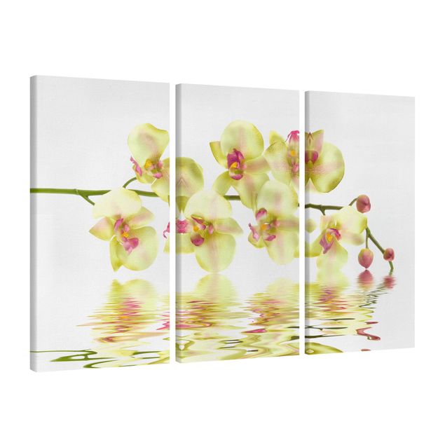 Cuadros en lienzo de flores Dreamy Orchid Waters