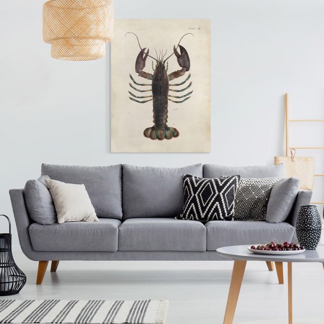 Lienzos animal Vintage Illustration Lobster