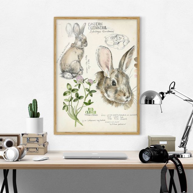 Pósters enmarcados flores Wilderness Journal - Rabbit