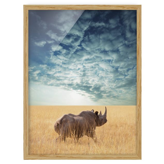 Pósters enmarcados de animales Rhino In The Savannah