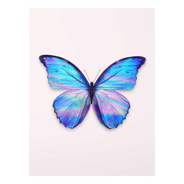 Cuadros de cristal animales Holographic Butterfly
