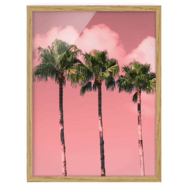 Cuadros plantas Palm Trees Against Sky Pink
