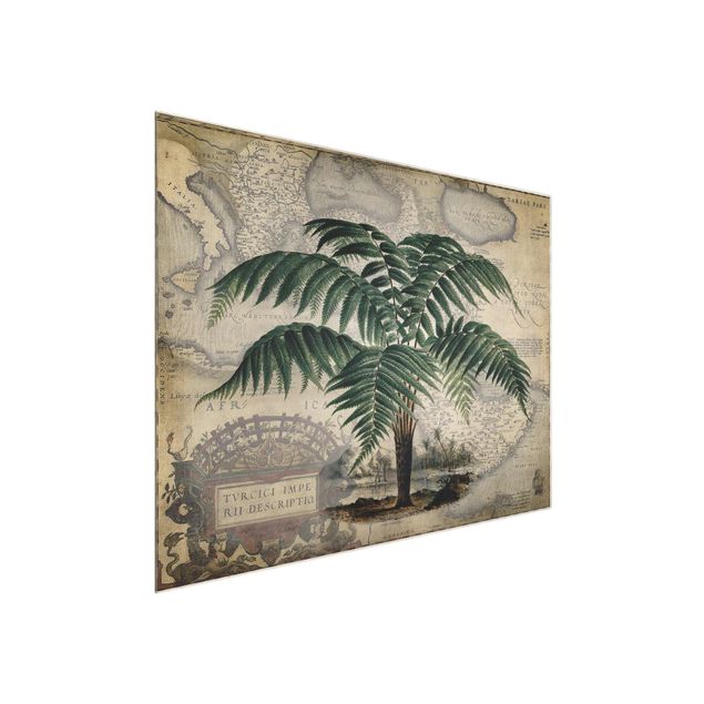 Cuadros de plantas naturales Vintage Collage - Palm And World Map