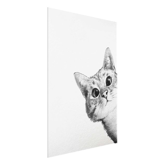 Cuadros de gatos modernos Illustration Cat Drawing Black And White