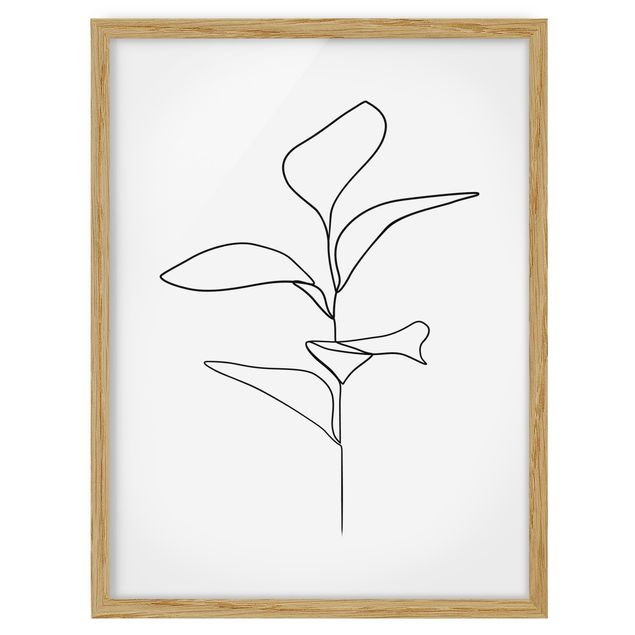 Pósters enmarcados flores Line Art Plant Leaves Black And White