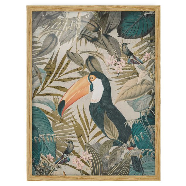 Cuadros de plantas naturales Vintage Collage - Toucan In The Jungle