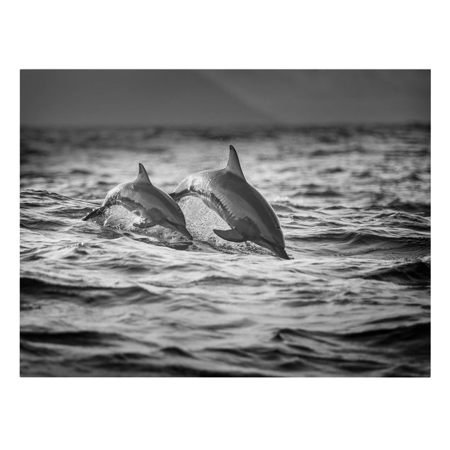 Lienzos animal Two Jumping Dolphins