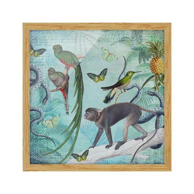 Cuadros plantas Colonial Style Collage - Monkeys And Birds Of Paradise