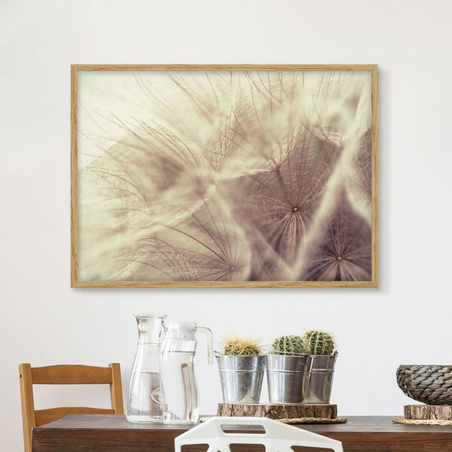 Decoración de cocinas Detailed Dandelion Macro Shot With Vintage Blur Effect