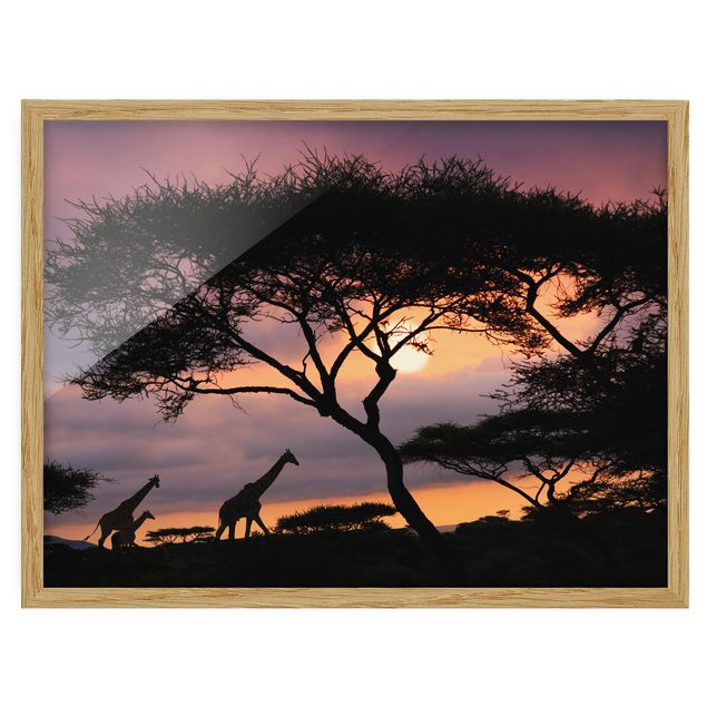 Pósters enmarcados de paisajes African Safari