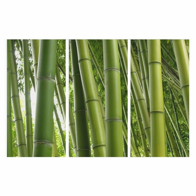 Cuadro con paisajes Bamboo Trees