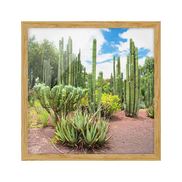 Pósters enmarcados flores Cactus Landscape
