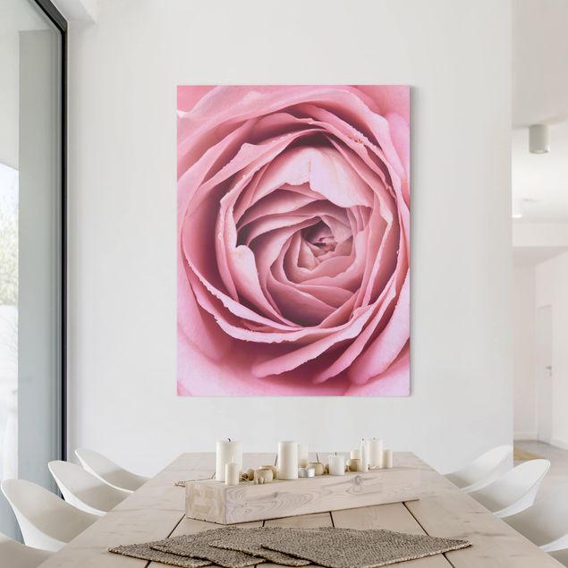 Lienzos de rosas Pink Rose Blossom