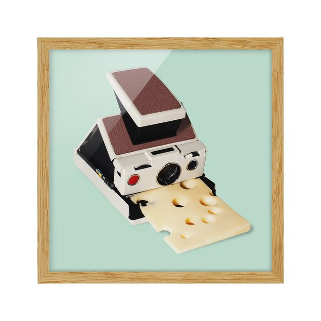 Cuadros modernos Camera With Cheese