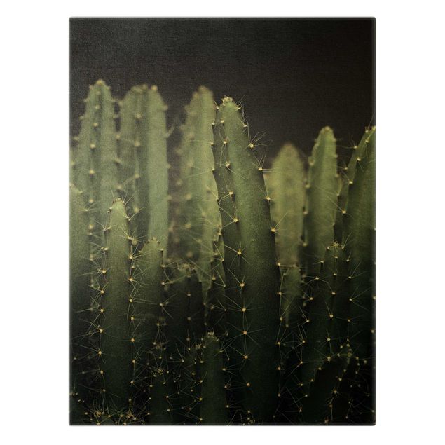 Cuadros de Monika Strigel Desert Cactus At Night
