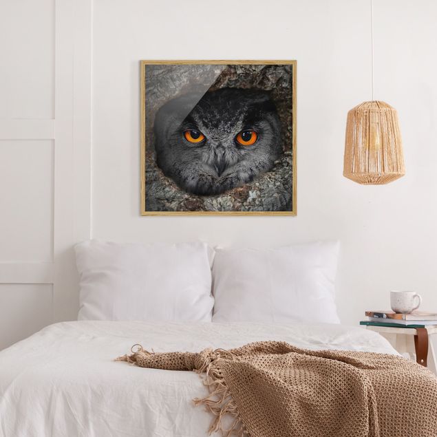 Pósters enmarcados de animales Watching Owl