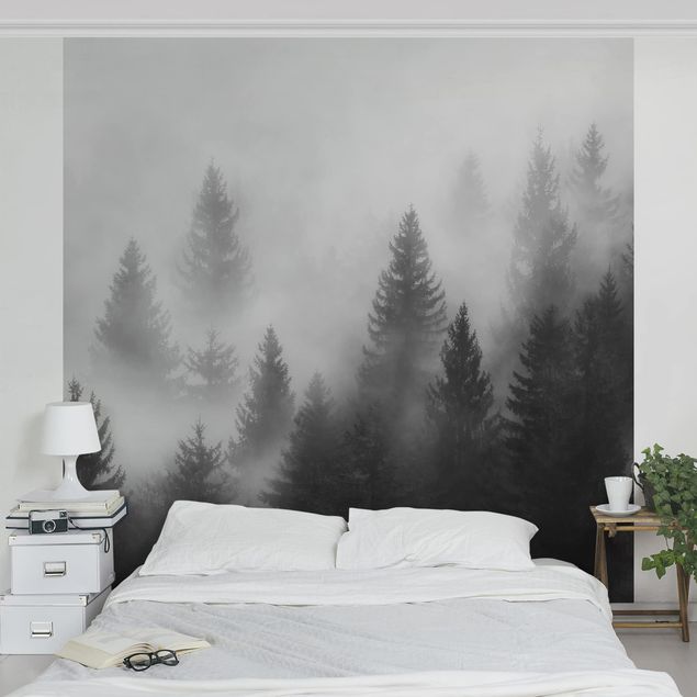Papel pared paisaje Coniferous Forest In The Fog Black And White