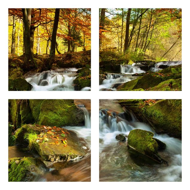 Lienzos efecto piedra Waterfall Autumnal Forest