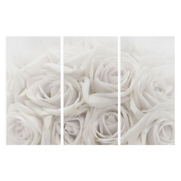 Cuadros de flores White Roses