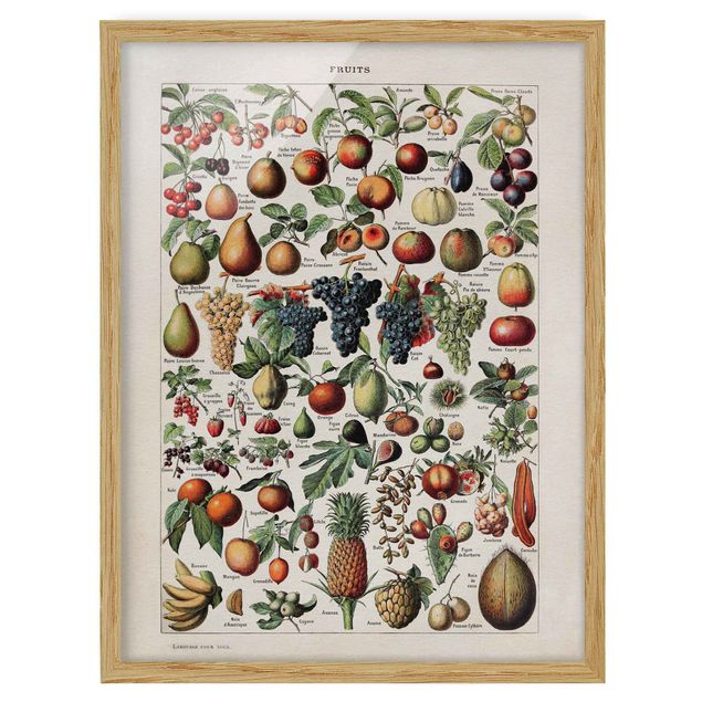 Cuadros de plantas Vintage Board Fruits
