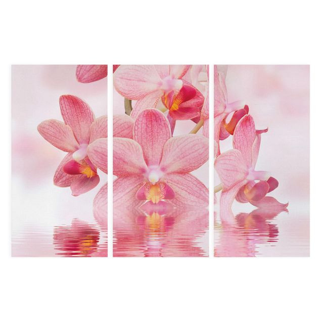 Cuadros de plantas Light Pink Orchid On Water