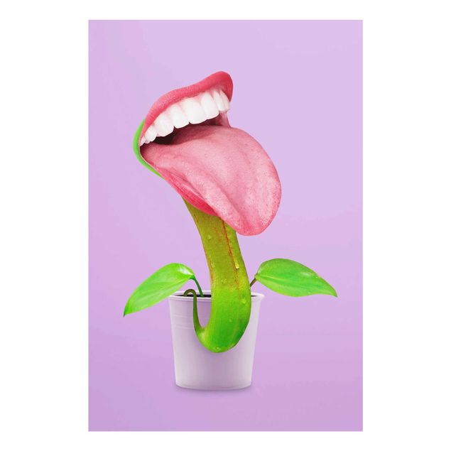 Cuadros de flores modernos Carnivorous Plant With Mouth
