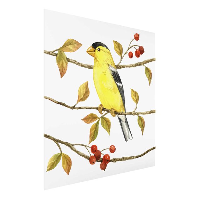 Cuadros retro Birds And Berries - American Goldfinch