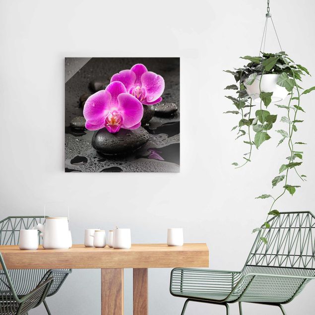 Decoración de cocinas Pink Orchid Flower On Stones With Drops