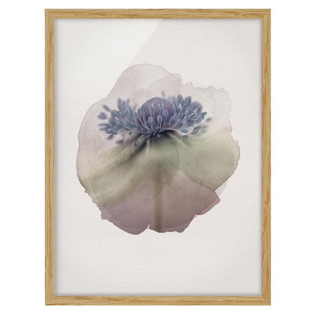 Cuadros flores WaterColours - Anemone In Violet