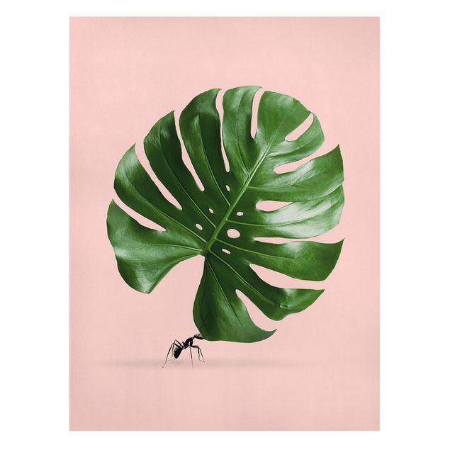 Cuadros verdes Ant With Monstera Leaf