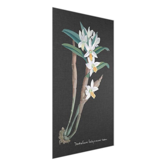 Cuadros de cristal flores White Orchid On Linen I