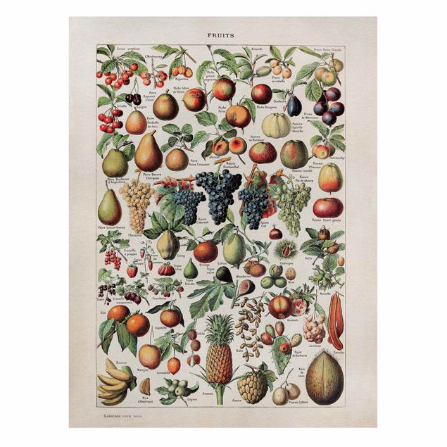 Cuadros de plantas naturales Vintage Board Fruits