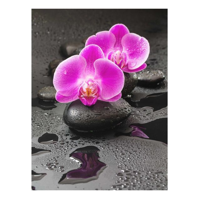 Cuadros de plantas Pink Orchid Flower On Stones With Drops