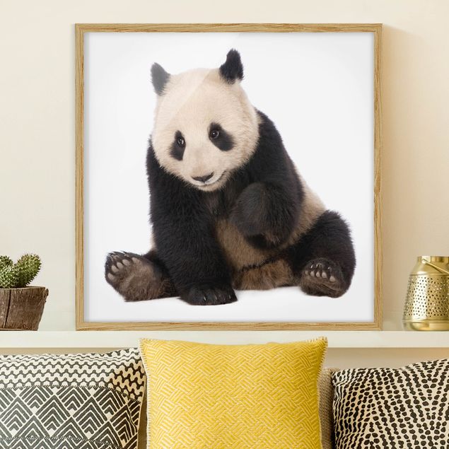 Decoración habitación infantil Panda Paws