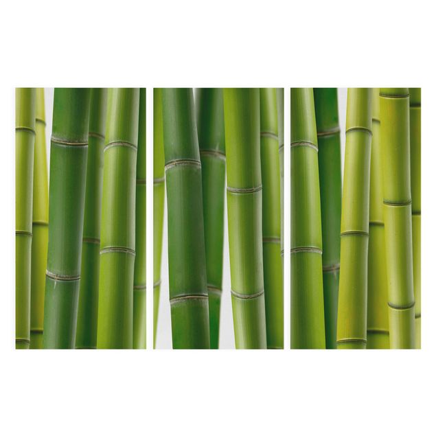 Cuadro con paisajes Bamboo Plants