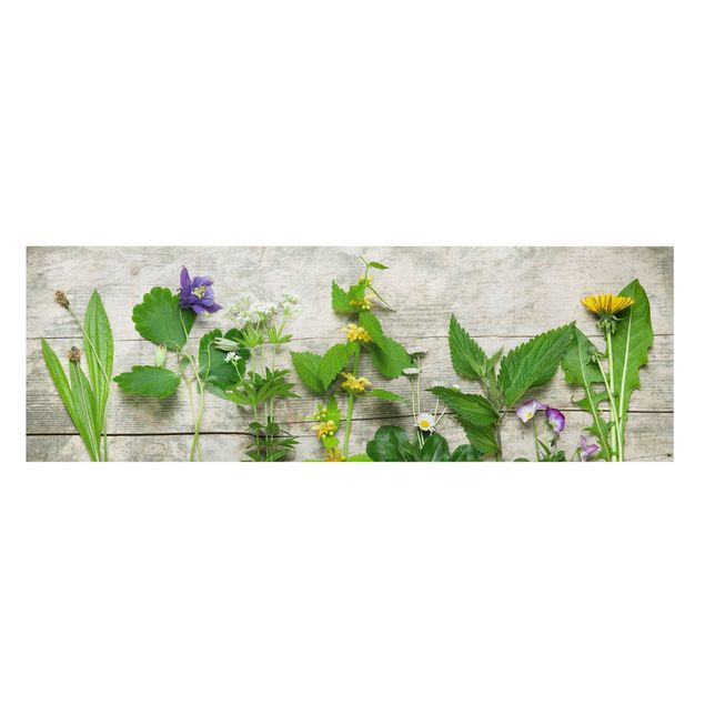Cuadros de plantas Medicinal and Meadow Herbs
