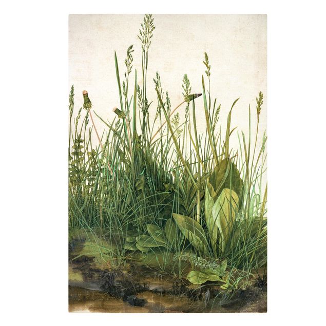 Lienzos flores Albrecht Dürer - The Great Lawn
