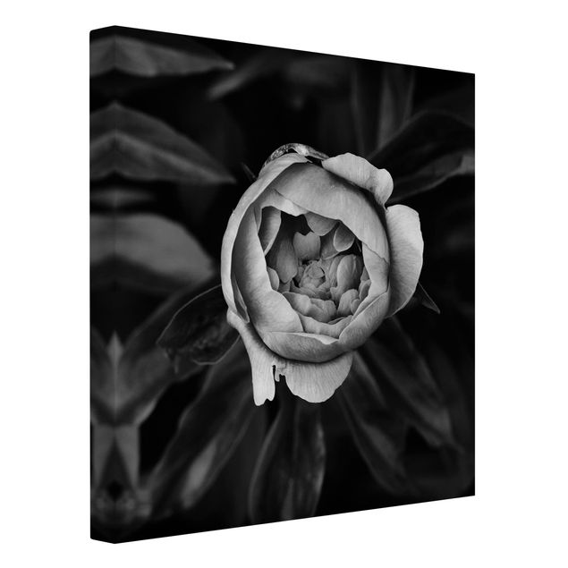 Lienzos blanco y negro Peonies In Front Of Leaves Black And White