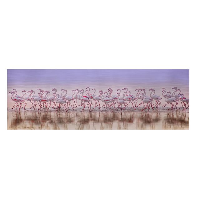 Cuadros animales Flamingo Party