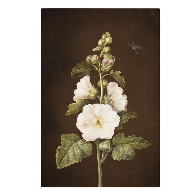 Cuadros en lienzo de flores Barbara Regina Dietzsch - Hollyhock