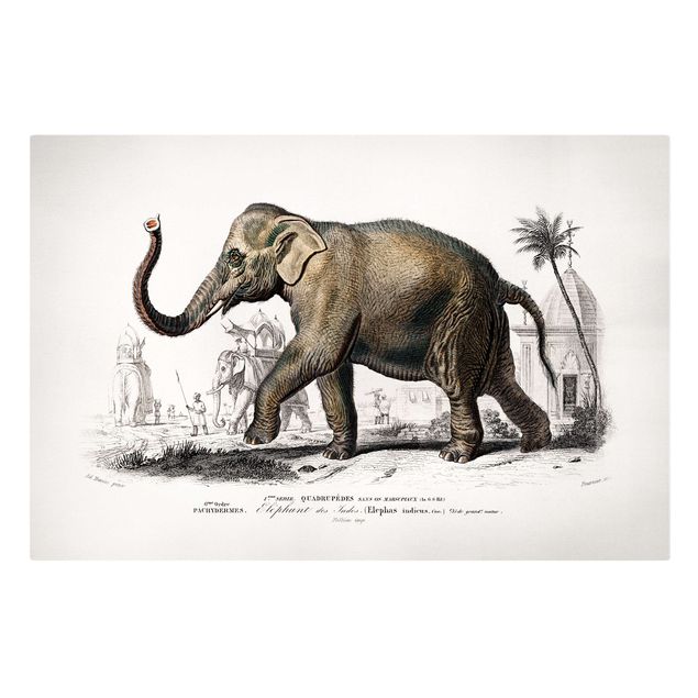 Lienzos de paisajes Vintage Board Elephant