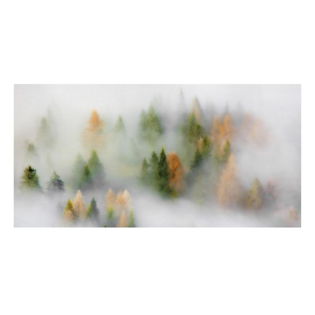 Lienzos de bosques Cloud Forest In Autumn
