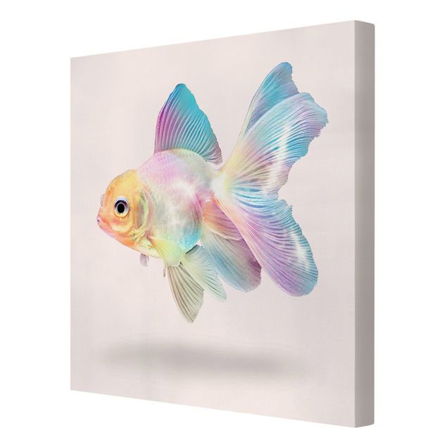 Lienzos animales Fish In Pastel