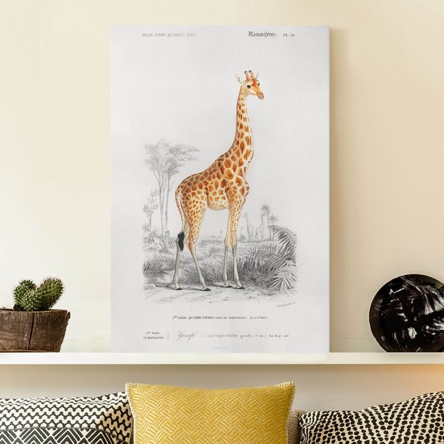 Decoración de cocinas Vintage Board Giraffe