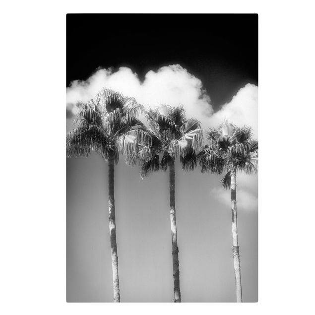 Cuadros de plantas Palm Trees Against The Sky Black And White