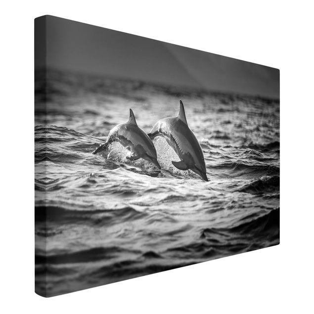 Lienzos blanco y negro Two Jumping Dolphins