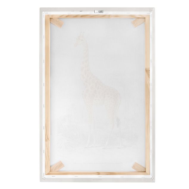 Cuadro amarillo Vintage Board Giraffe