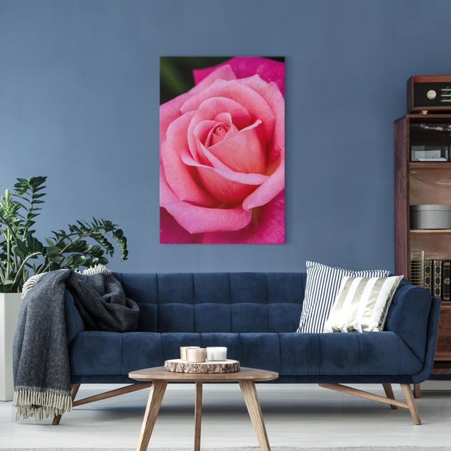 Cuadros en lienzo de flores Pink Rose Flowers Green Backdrop