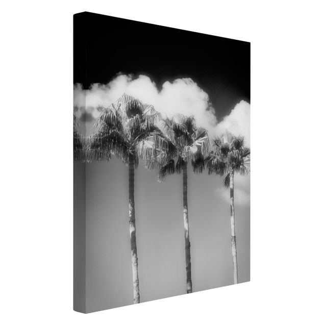 Lienzos en blanco y negro Palm Trees Against The Sky Black And White